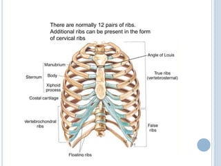 Annular Ribs Approach to problem fractures | PPTX