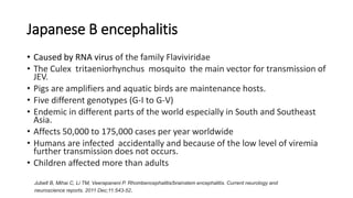 Japanese B encephalitis
• Caused by RNA virus of the family Flaviviridae
• The Culex tritaeniorhynchus mosquito the main vector for transmission of
JEV.
• Pigs are amplifiers and aquatic birds are maintenance hosts.
• Five different genotypes (G-I to G-V)
• Endemic in different parts of the world especially in South and Southeast
Asia.
• Affects 50,000 to 175,000 cases per year worldwide
• Humans are infected accidentally and because of the low level of viremia
further transmission does not occurs.
• Children affected more than adults
Jubelt B, Mihai C, Li TM, Veerapaneni P. Rhombencephalitis/brainstem encephalitis. Current neurology and
neuroscience reports. 2011 Dec;11:543-52.
 