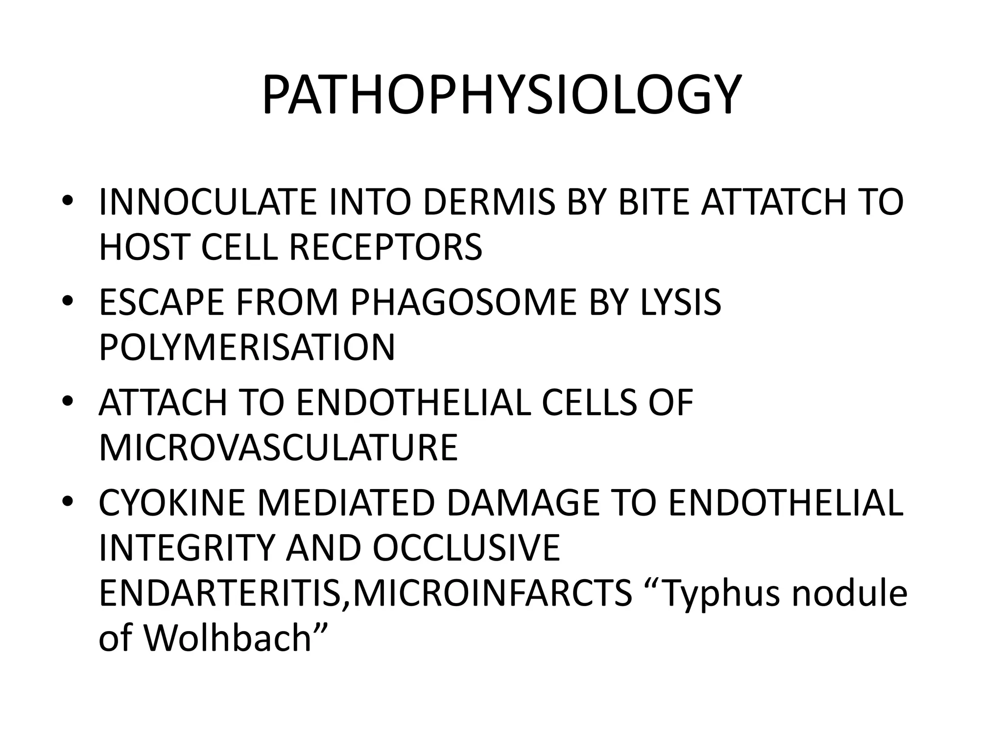 APPROACH TO RICKETTSIAL INFECTIONS-2.pptx