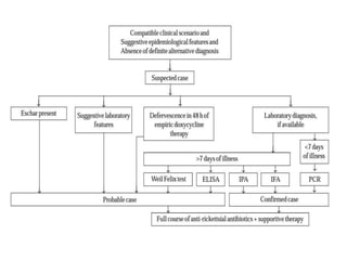 APPROACH TO RICKETTSIAL INFECTIONS-2.pptx