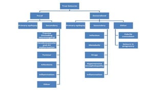 Approach to seizure disorder | PPTX