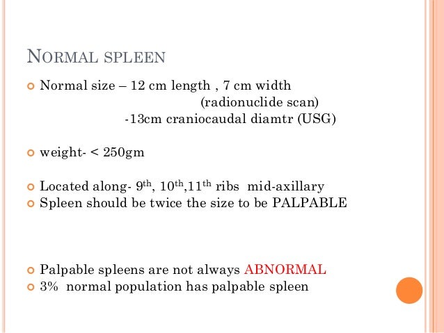 Spleen Size Chart
