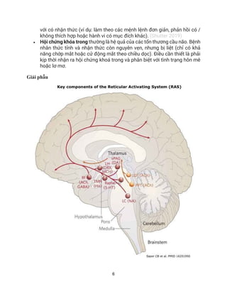 6
với có nhận thức (ví dụ: làm theo các mệnh lệnh đơn giản, phản hồi có /
không thích hợp hoặc hành vi có mục đích khác). (Shutter 2019)
• Hội chứng khóa trong thường là hệ quả của các tổn thương cầu não. Bệnh
nhân thức tỉnh và nhận thức còn nguyên vẹn, nhưng bị liệt (chỉ có khả
năng chớp mắt hoặc cử động mắt theo chiều dọc). Điều cần thiết là phải
kịp thời nhận ra hội chứng khoá trong và phân biệt với tình trạng hôn mê
hoặc lơ mơ.
Giải phẫu
 