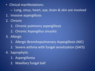 • Clinical manifestations:
– Lung, sinus, heart, eye, brain & skin are involved
1. Invasive aspergillosis
2. Chronic
1. Chronic pulmonry aspergillosis
2. Chronic Aspergillus sinusitis
3. Allergic
1. Allergic Bronchopulmonary Aspergillosis (MC)
2. Severe asthma with fungal sensitization (SAFS)
4. Saprophytic
1. Aspergilloma
2. Maxillary fungal ball
 