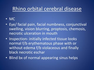 Rhino orbital cerebral disease
• MC
• Eye/ facial pain, facial numbness, conjunctival
swelling, vision blurring, proptosis, chemosis,
necrotic ulceration in mouth
• Inspection- initially infected tissue looks
normal f/b erythematous phase with or
without edema f/b violaceous and finally
black necrotic eschar
• Blind bx of normal appearing sinus helps
 
