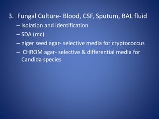 3. Fungal Culture- Blood, CSF, Sputum, BAL fluid
– Isolation and identification
– SDA (mc)
– niger seed agar- selective media for cryptococcus
– CHROM agar- selective & differential media for
Candida species
 