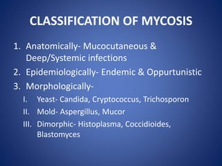 CLASSIFICATION OF MYCOSIS
1. Anatomically- Mucocutaneous &
Deep/Systemic infections
2. Epidemiologically- Endemic & Oppurtunistic
3. Morphologically-
I. Yeast- Candida, Cryptococcus, Trichosporon
II. Mold- Aspergillus, Mucor
III. Dimorphic- Histoplasma, Coccidioides,
Blastomyces
 