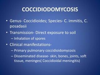 COCCIDIODOMYCOSIS
• Genus- Coccidioides; Species- C. immitis, C.
posadasii
• Transmission- Direct exposure to soil
– Inhalation of spores
• Clinical manifestations-
– Primary pulmonary coccidioidomycosis
– Disseminated disease- skin, bones, joints, soft
tissue, meninges( Coccidioidal meningitis)
 