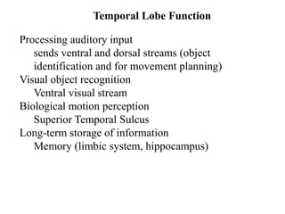 Temporal Movement Approach to temporal lobe | PPTX