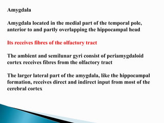Approach to temporal lobe anatomy,function,epilepsy MRI finding | PPTX