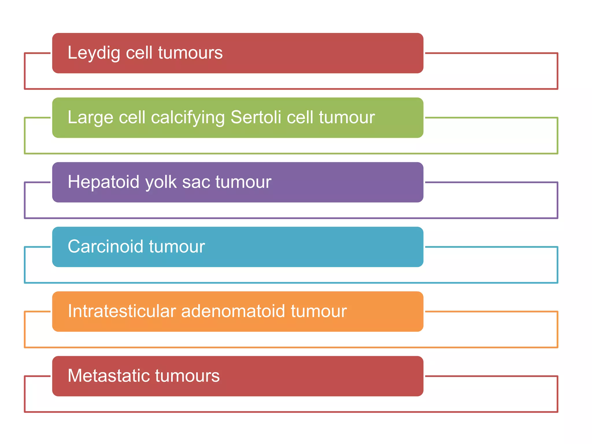 Leydig cell tumours
Large cell calcifying Sertoli cell tumour
Hepatoid yolk sac tumour
Carcinoid tumour
Intratesticular adenomatoid tumour
Metastatic tumours
 