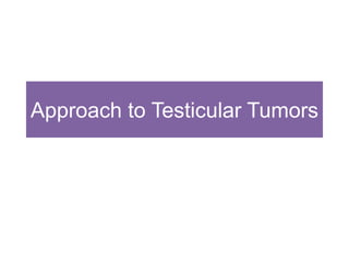 Approach to Testicular Tumors
 