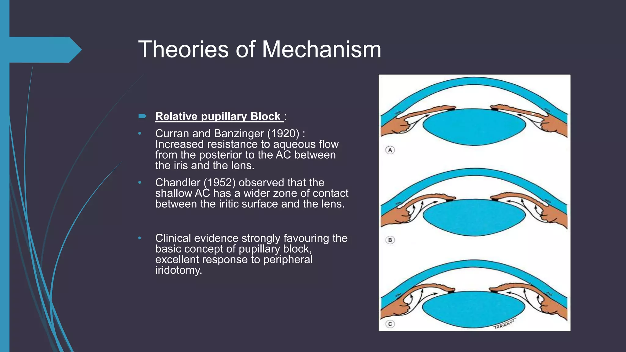 Theories of Mechanism
 Relative pupillary Block :
• Curran and Banzinger (1920) :
Increased resistance to aqueous flow
from the posterior to the AC between
the iris and the lens.
• Chandler (1952) observed that the
shallow AC has a wider zone of contact
between the iritic surface and the lens.
• Clinical evidence strongly favouring the
basic concept of pupillary block,
excellent response to peripheral
iridotomy.
 