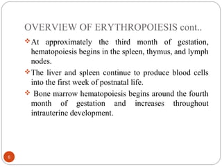 OVERVIEW OF ERYTHROPOIESIS cont..
At approximately the third month of gestation,
hematopoiesis begins in the spleen, thym...