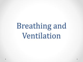 Breathing and
Ventilation
 