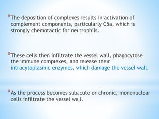 *The deposition of complexes results in activation of
complement components, particularly C5a, which is
strongly chemotactic for neutrophils.
*These cells then infiltrate the vessel wall, phagocytose
the immune complexes, and release their
intracytoplasmic enzymes, which damage the vessel wall.
*As the process becomes subacute or chronic, mononuclear
cells infiltrate the vessel wall.
 