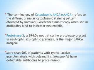 * The terminology of Cytoplasmic ANCA (cANCA) refers to
the diffuse, granular cytoplasmic staining pattern
observed by immunofluorescence microscopy when serum
antibodies bind to indicator neutrophils.
*Proteinase-3, a 29-kDa neutral serine proteinase present
in neutrophil azurophilic granules, is the major cANCA
antigen.
*More than 90% of patients with typical active
granulomatosis with polyangiitis (Wegener’s) have
detectable antibodies to proteinase-3 .
 