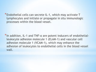 *Endothelial cells can secrete IL-1, which may activate T
lymphocytes and initiate or propagate in situ immunologic
processes within the blood vessel.
*In addition, IL-1 and TNF-α are potent inducers of endothelial-
leukocyte adhesion molecule 1 (ELAM-1) and vascular cell
adhesion molecule 1 (VCAM-1), which may enhance the
adhesion of leukocytes to endothelial cells in the blood vessel
wall.
 