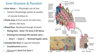 Acinus Functional Unit Approach to the Patient with Liver Disease DrSiraj2026.pdf