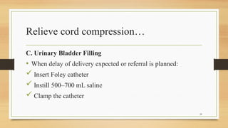 Bladder Compression Guide Comprehensive Approach to Diagnosis and Management of Umbilical Cord ...