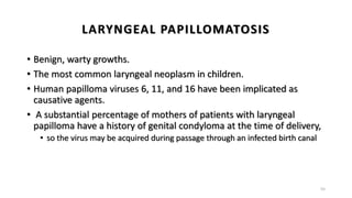 LARYNGEAL PAPILLOMATOSIS
• Benign, warty growths.
• The most common laryngeal neoplasm in children.
• Human papilloma viruses 6, 11, and 16 have been implicated as
causative agents.
• A substantial percentage of mothers of patients with laryngeal
papilloma have a history of genital condyloma at the time of delivery,
• so the virus may be acquired during passage through an infected birth canal
55
 