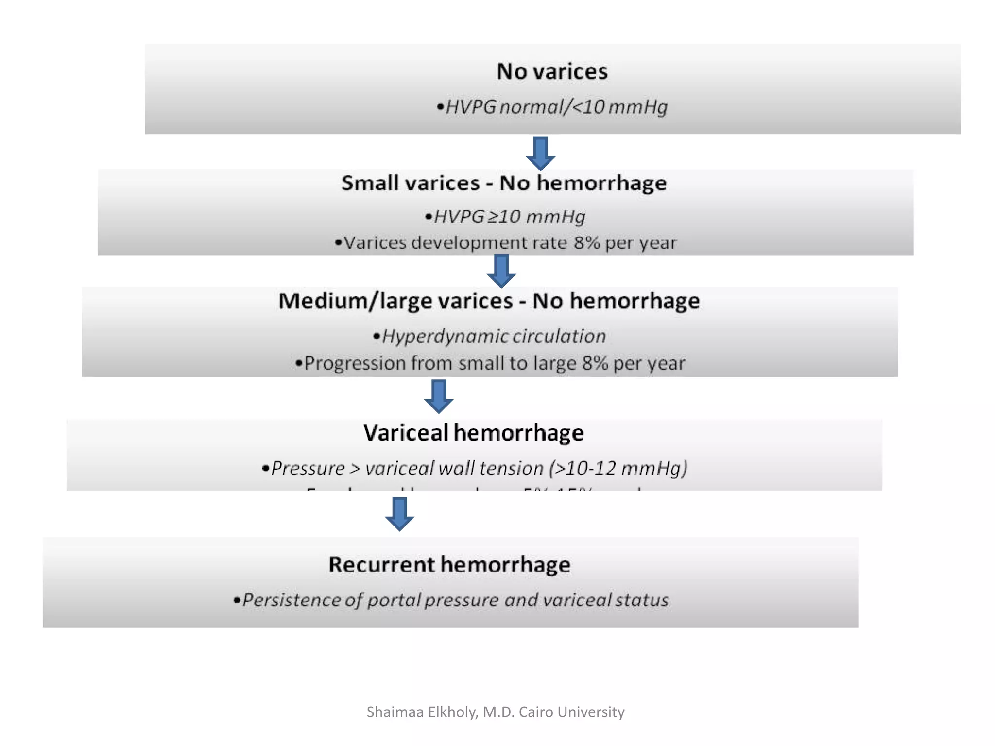Shaimaa Elkholy, M.D. Cairo University
 