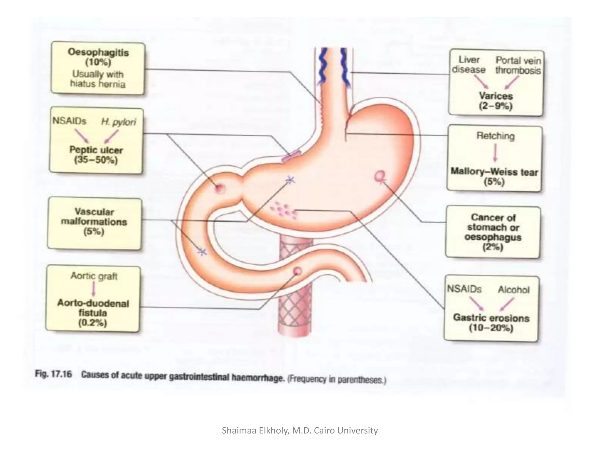 Shaimaa Elkholy, M.D. Cairo University
 