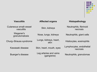 Vasculitis Affected organs Histopathology
Cutaneous small-vessel
vasculitis
Skin, kidneys
Neutrophils, fibrinoid
necrosis
Wegener's
granulomatosis
Nose, lungs, kidneys Neutrophils, giant cells
Churg–Strauss syndrome
Lungs, kidneys, heart,
skin
Histiocytes, eosinophils
Kawasaki disease Skin, heart, mouth, eyes
Lymphocytes, endothelial
necrosis
Buerger's disease
Leg arteries and veins
(gangrene)
Neutrophils, granulomas
 
