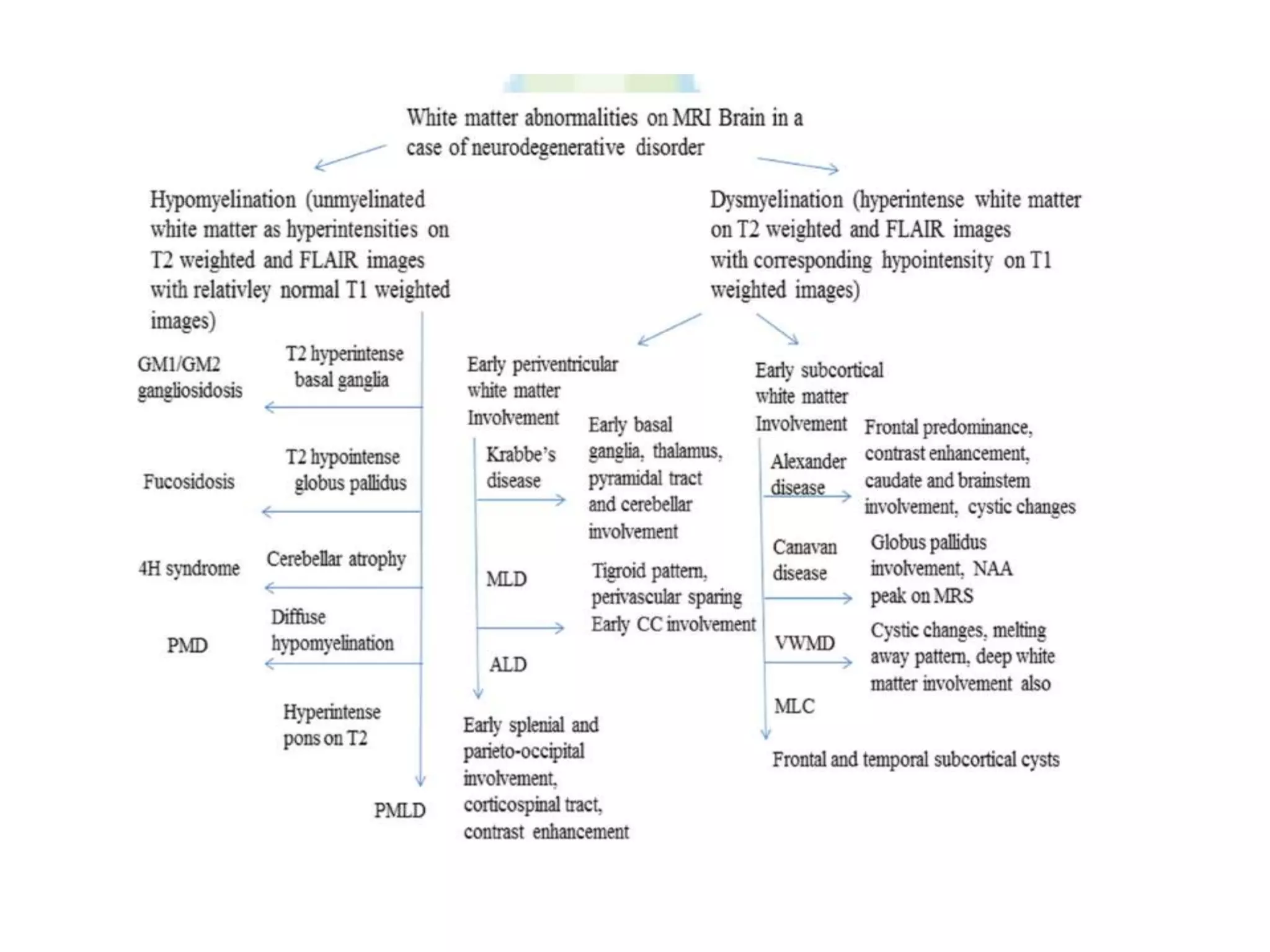 Approach to white matter disease | PPTX