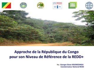 Approche de la République du Congo
pour son Niveau de Référence de la REDD+
Par: Georges Claver BOUNDZANGA
Coordonnateur National REDD
 