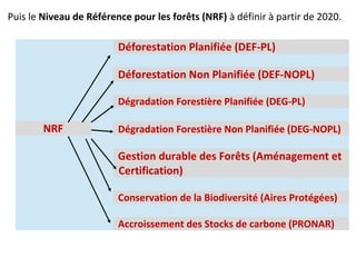 Approche de la république du congo