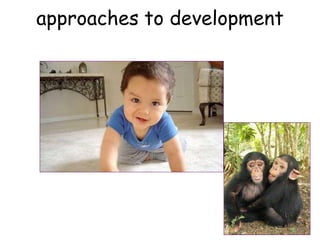 approaches to development
 