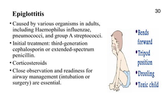 Epiglottitis
• Caused by various organisms in adults,
including Haemophilus influenzae,
pneumococci, and group A streptococci.
• Initial treatment: third-generation
cephalosporin or extended-spectrum
penicillin.
• Corticosteroids
• Close observation and readiness for
airway management (intubation or
surgery) are essential.
30
 