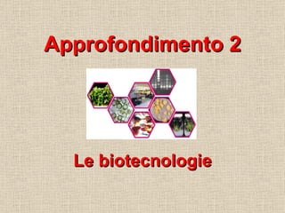 Approfondimento 2 Le biotecnologie 