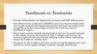 Tendinosis vs Tendonitis
• Chronic tendon injuries are degenerative in nature and NOT inflammatory.
• Anti-inflammatory medications (NSAID’s) and/or corticosteroid injections
can actually accelerate the degenerative process and make the tendon more
susceptible to further injury, longer recovery time and may increase
likelihood of rupture.
• Heavy load eccentric strength training helps to increase the tensile strength
of the tendon, increase the amount of Type I collagen and decrease the
amount of ground substance thereby reducing tendon volume and helping
restore the tendon to a healthy state.
• Treatment for this condition must first attempt to stop the degenerative cycle
and then to restore proper collagen synthesis, strength and function.
 