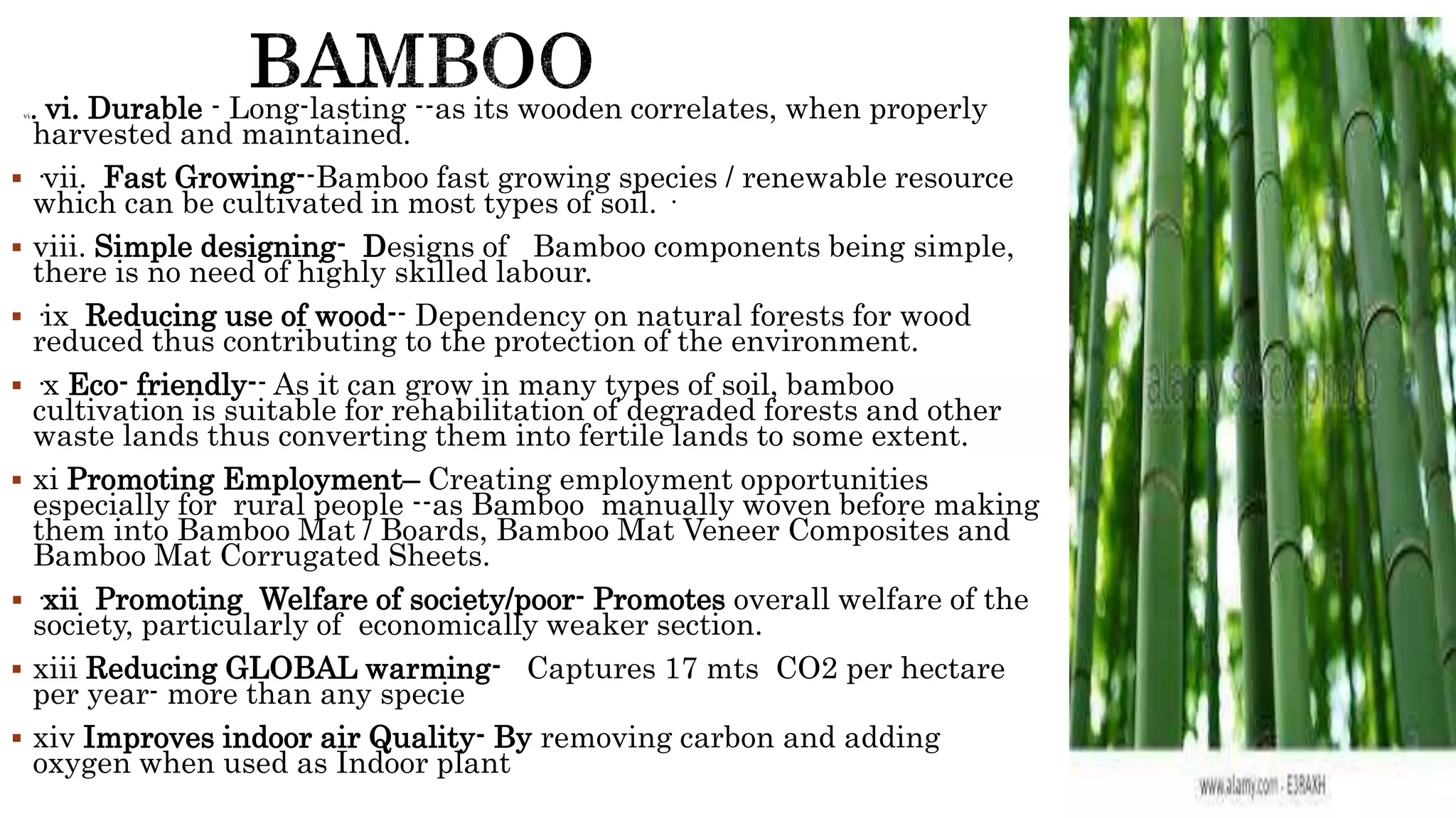 vi. vi. Durable - Long-lasting --as its wooden correlates, when properly
harvested and maintained.
 ·vii. Fast Growing--Bamboo fast growing species / renewable resource
which can be cultivated in most types of soil. ·
 viii. Simple designing- Designs of Bamboo components being simple,
there is no need of highly skilled labour.
 ·ix Reducing use of wood-- Dependency on natural forests for wood
reduced thus contributing to the protection of the environment.
 ·x Eco- friendly-- As it can grow in many types of soil, bamboo
cultivation is suitable for rehabilitation of degraded forests and other
waste lands thus converting them into fertile lands to some extent.
 xi Promoting Employment– Creating employment opportunities
especially for rural people --as Bamboo manually woven before making
them into Bamboo Mat / Boards, Bamboo Mat Veneer Composites and
Bamboo Mat Corrugated Sheets.
 ·xii Promoting Welfare of society/poor- Promotes overall welfare of the
society, particularly of economically weaker section.
 xiii Reducing GLOBAL warming- Captures 17 mts CO2 per hectare
per year- more than any specie
 xiv Improves indoor air Quality- By removing carbon and adding
oxygen when used as Indoor plant
 