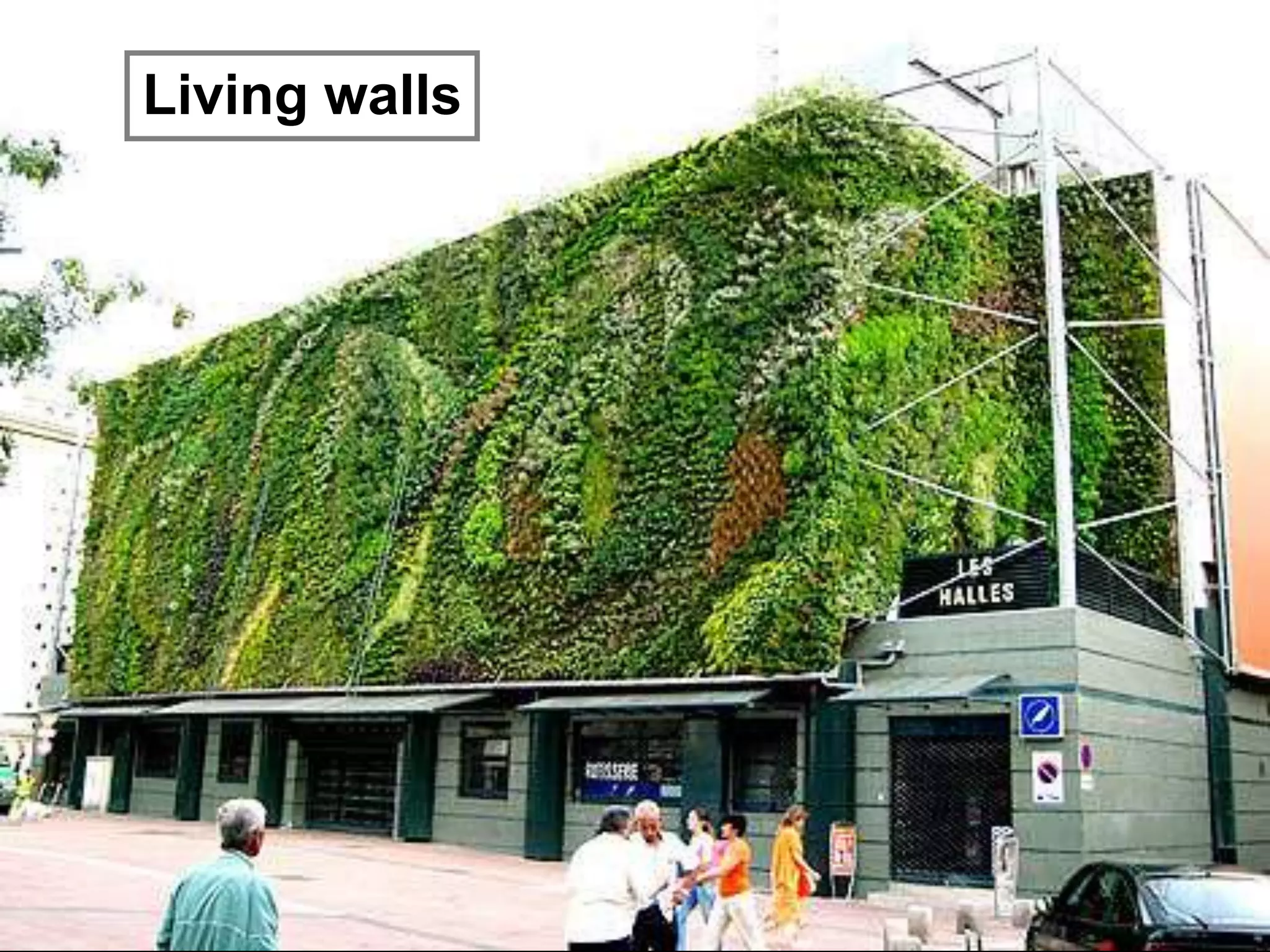 Living walls
 