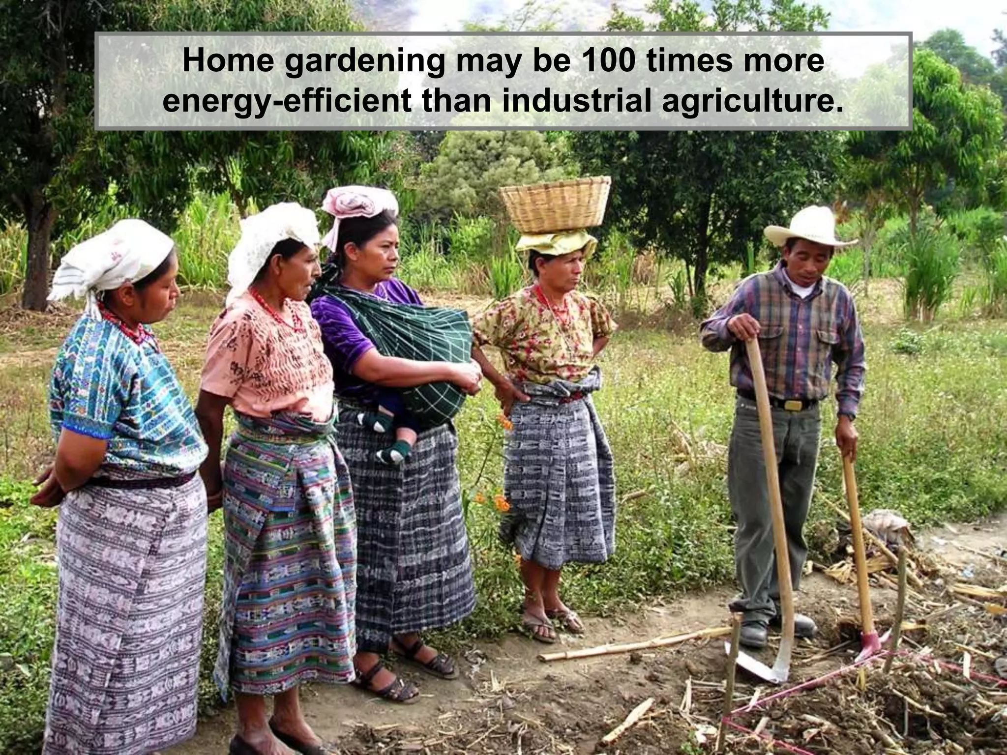 Home gardening may be 100 times more
energy-efficient than industrial agriculture.
 