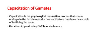 Capacitation of Gametes
• Capacitation is the physiological maturation process that sperm
undergo in the female reproductive tract before they become capable
of fertilizing the ovum.
• Duration: Approximately 5–7 hours in humans.
 