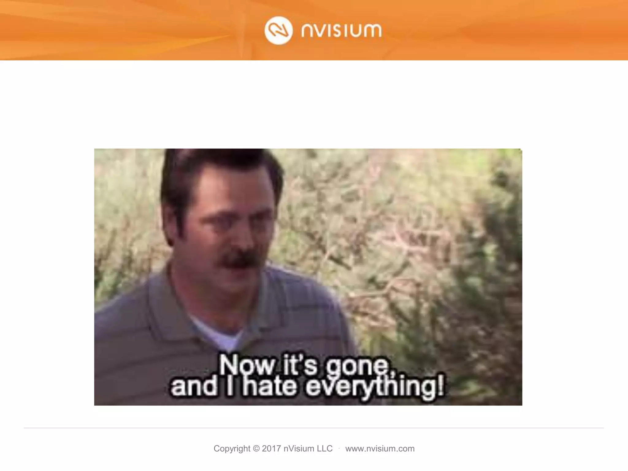 Copyright © 2017 nVisium LLC · www.nvisium.com
 