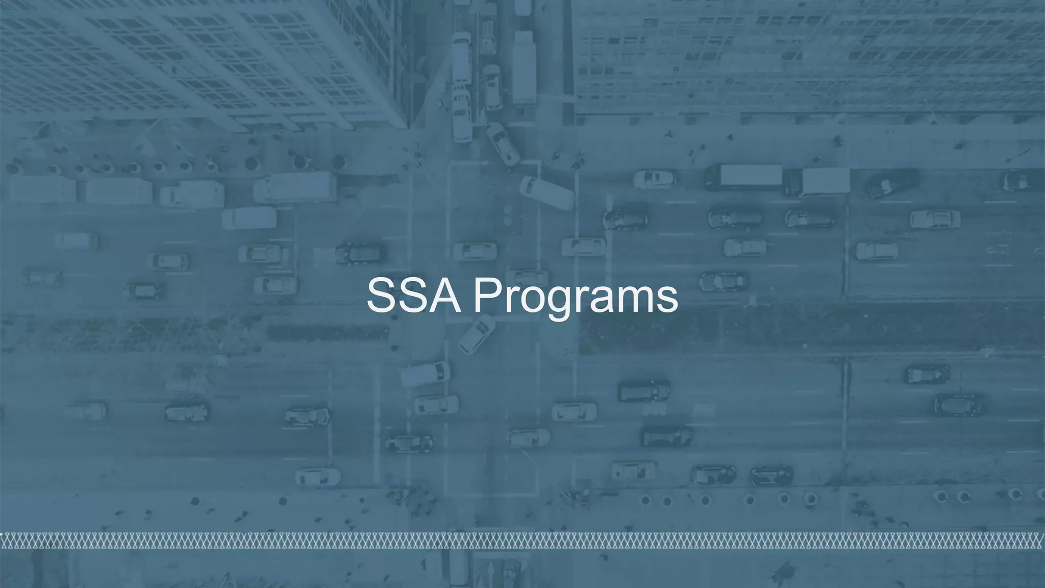 © 2020 Denim Group – All Rights Reserved
SSA Programs
 