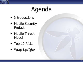 OWASP Top 10 Mobile Risks