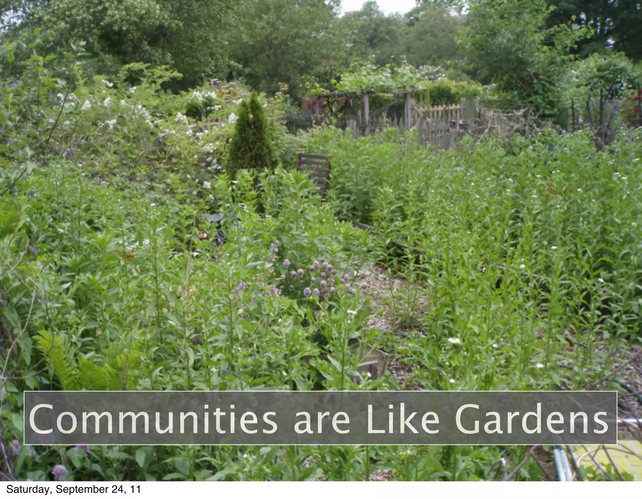 Communities are Like Gardens
Saturday, September 24, 11
 