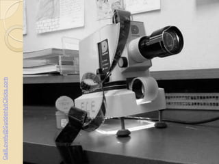 GailLovely@SuddenlyitClicks.com

 