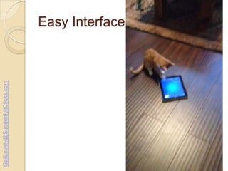 GailLovely@SuddenlyitClicks.com

Easy Interface

 