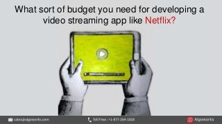 What sort of budget you need for developing a
video streaming app like Netflix?
 