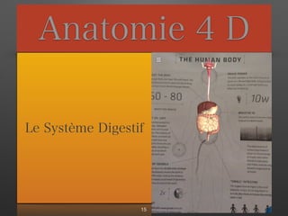 Anatomie 4 D
Le Système Digestif
15
 