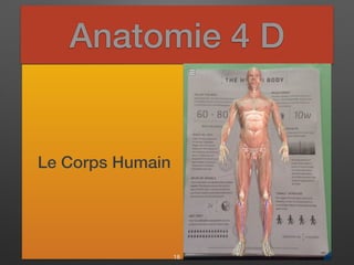 Anatomie 4 D
Le Corps Humain
18
 