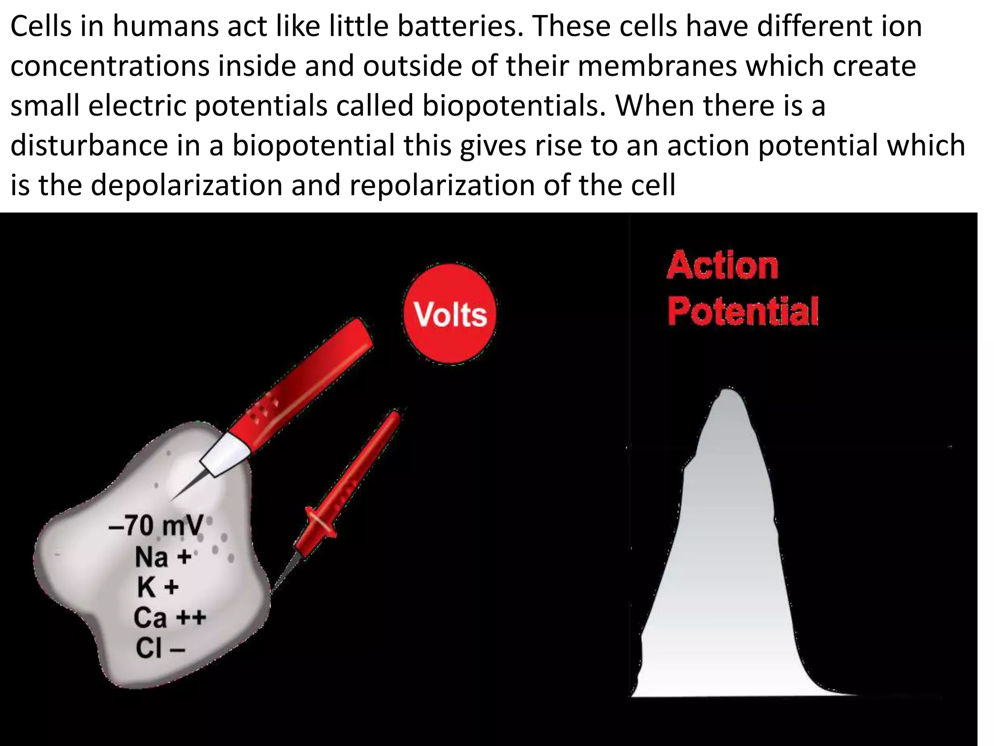 Cells in humans act like little batteries. These cells have different ion
concentrations inside and outside of their membranes which create
small electric potentials called biopotentials. When there is a
disturbance in a biopotential this gives rise to an action potential which
is the depolarization and repolarization of the cell
 