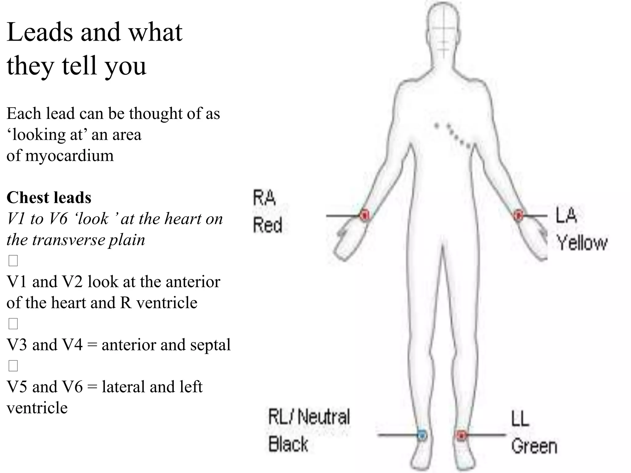 Leads and what
they tell you
Each lead can be thought of as
‘looking at’ an area
of myocardium
Chest leads
V1 to V6 ‘look ’at the heart on
the transverse plain
􀂃
V1 and V2 look at the anterior
of the heart and R ventricle
􀂃
V3 and V4 = anterior and septal
􀂃
V5 and V6 = lateral and left
ventricle
 